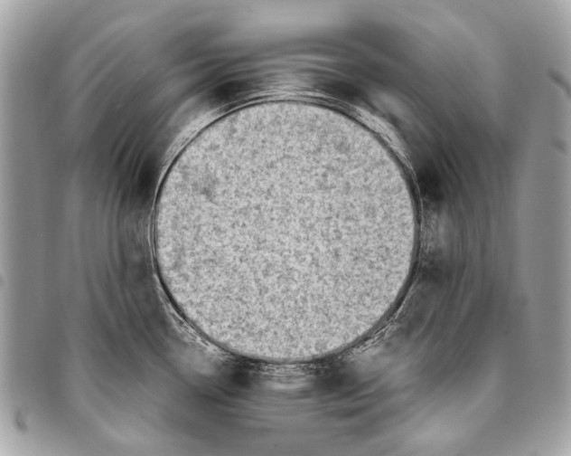 X0000096221338200802081517