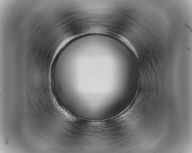 X0000096221339200802081517