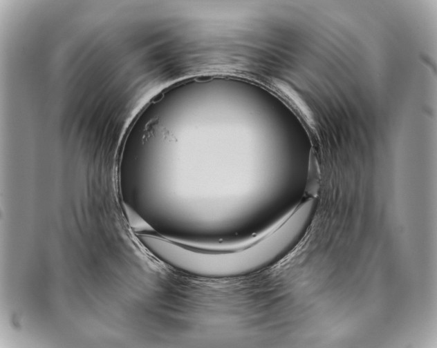 X0000096221340200802081517