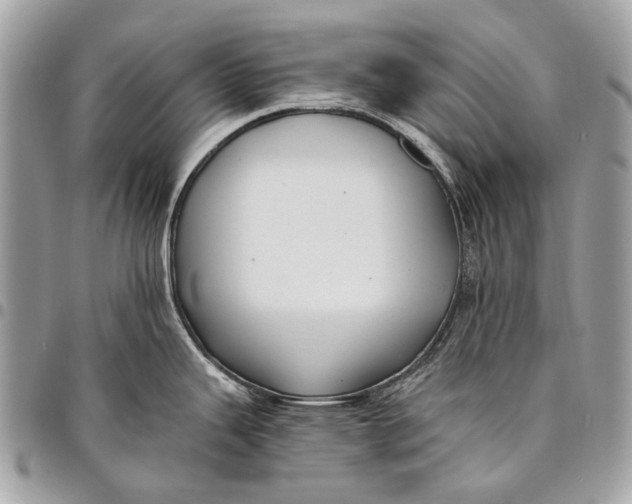 X0000096221343200802081517