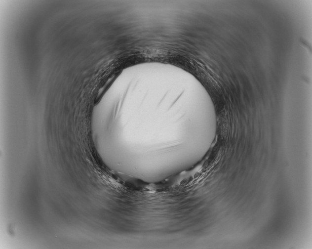 X0000096221345200802081516