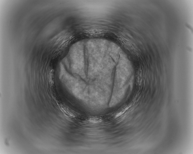 X0000096221346200802081516