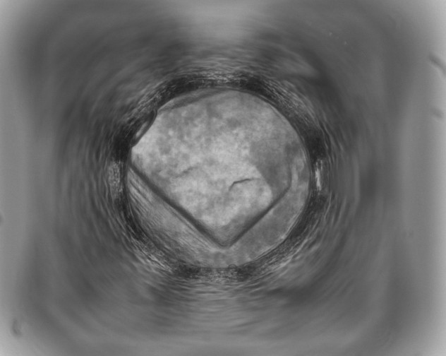 X0000096221347200802081516