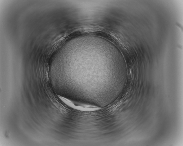 X0000096221348200802081516