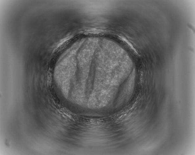 X0000096221350200802081516