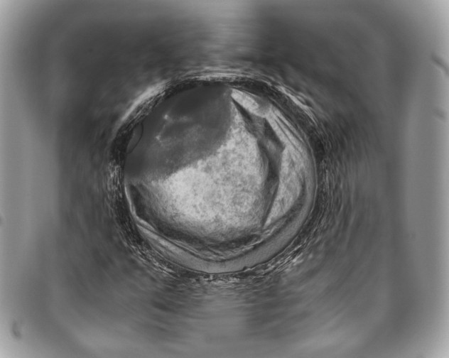 X0000096221351200802081516