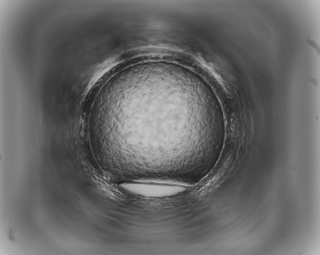 X0000096221352200802081516