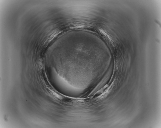 X0000096221353200802081516