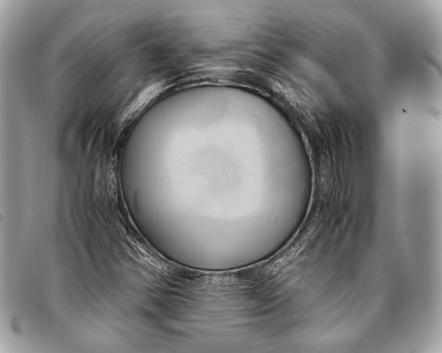 X0000096221354200802081516