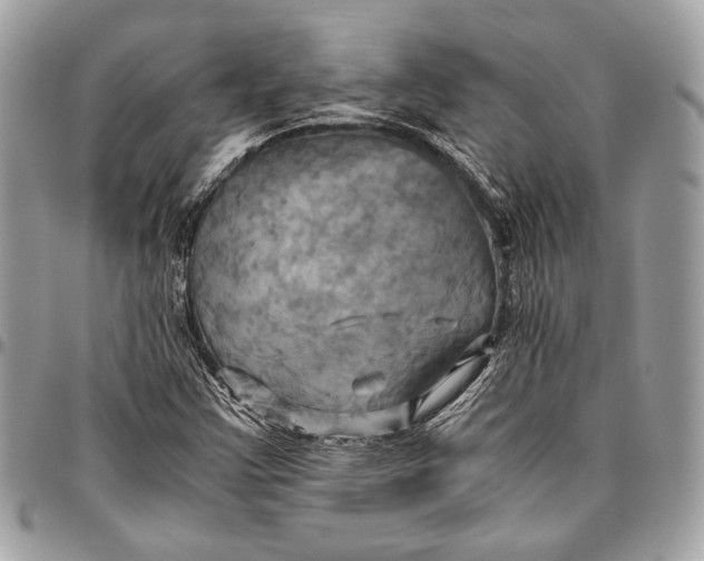 X0000096221355200802081516