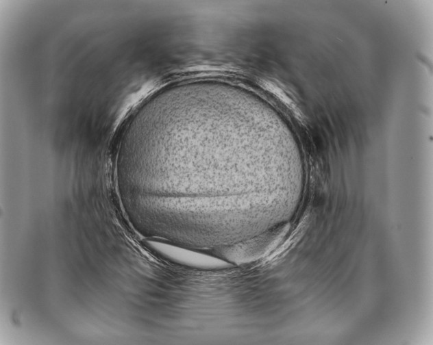 X0000096221357200802081516