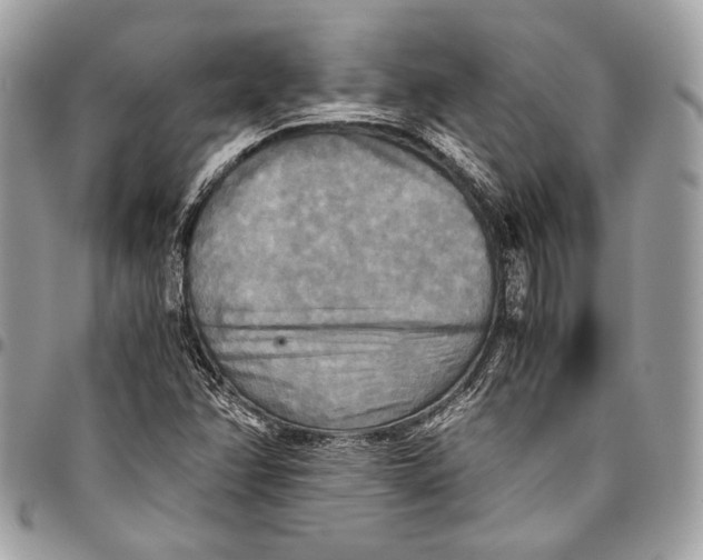 X0000096221358200802081516