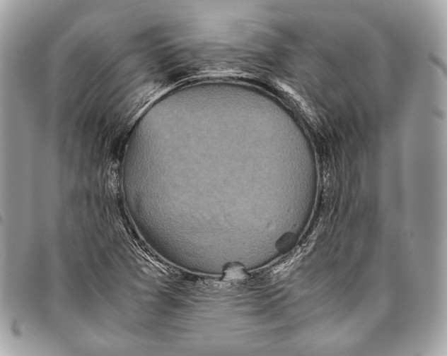 X0000096221361200802081516