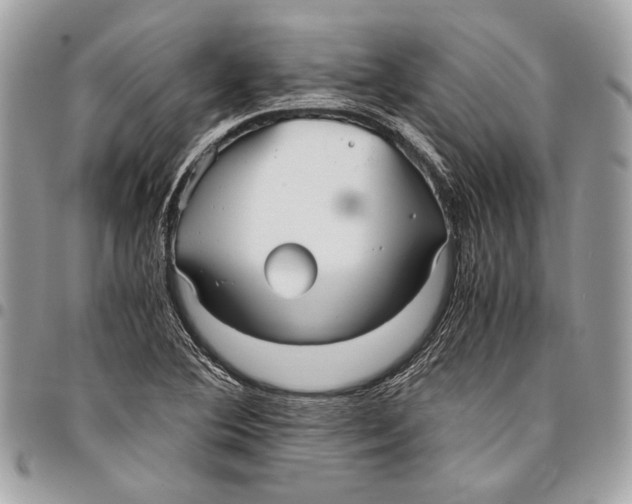 X0000096221364200802081516