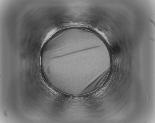 X0000096221365200802081516