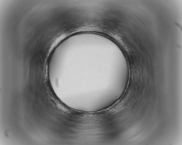 X0000096221366200802081516