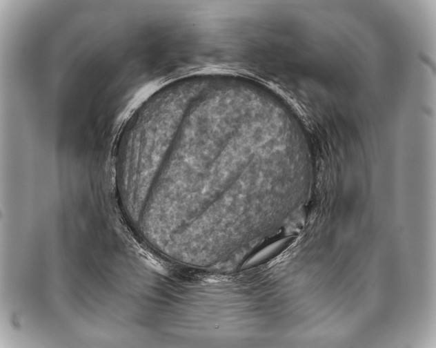 X0000096221367200802081516