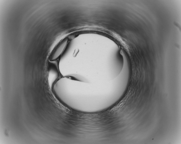 X0000096221368200802081515