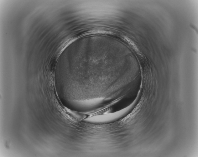 X0000096221369200802081515