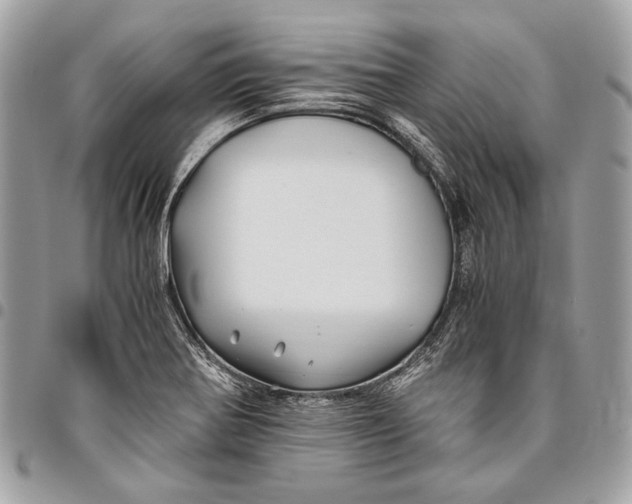 X0000096221370200802081515