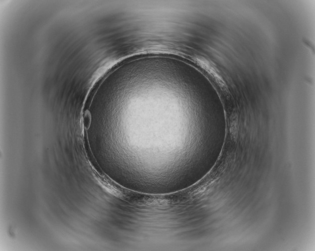 X0000096221372200802081515