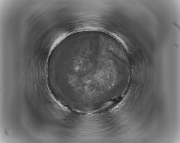 X0000096221373200802081515