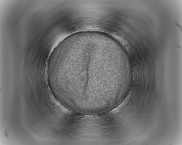 X0000096221374200802081515