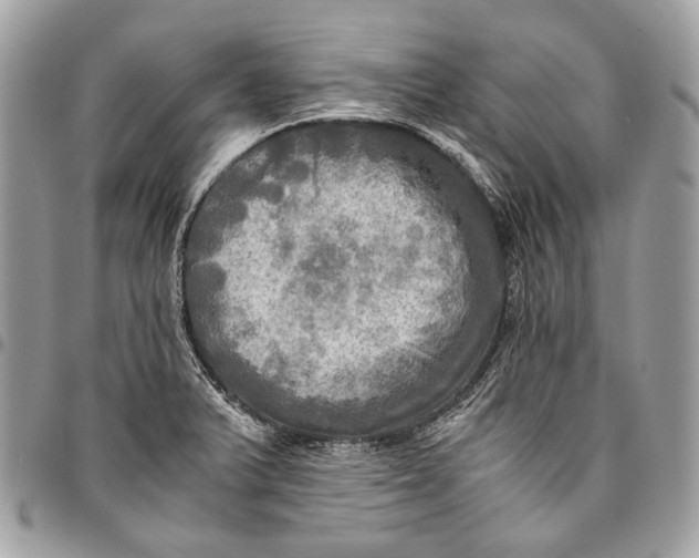 X0000096221375200802081515