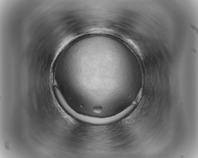 X0000096221376200802081515