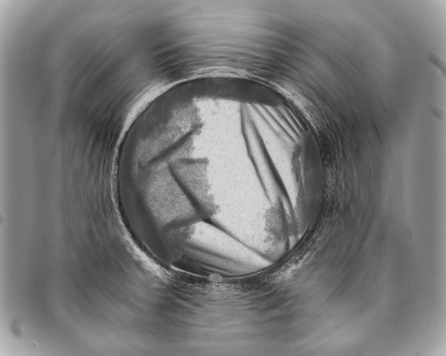 X0000096221379200802081515