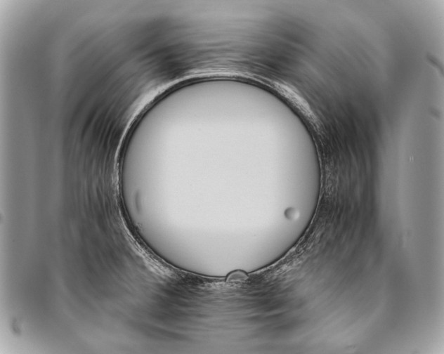 X0000096221380200802081515