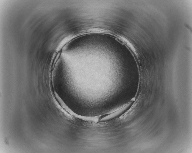 X0000096221381200802081515