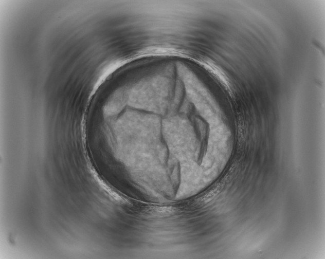 X0000096221382200802081515