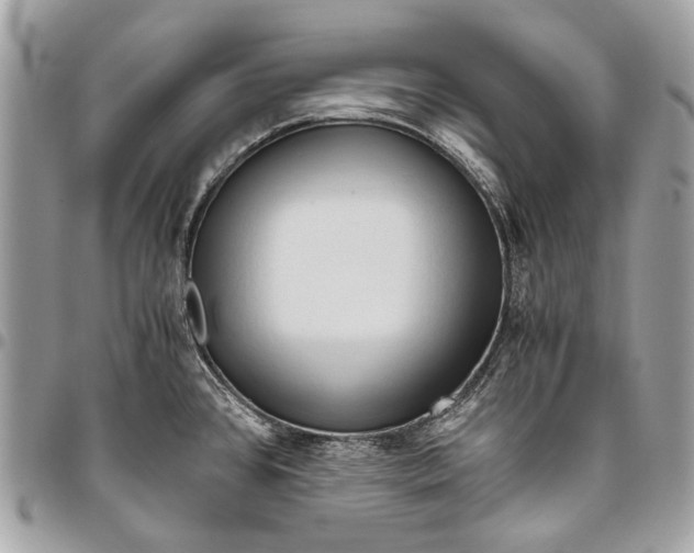 X0000096221384200802081515