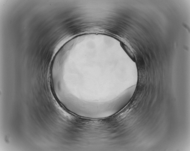 X0000096221387200802081515