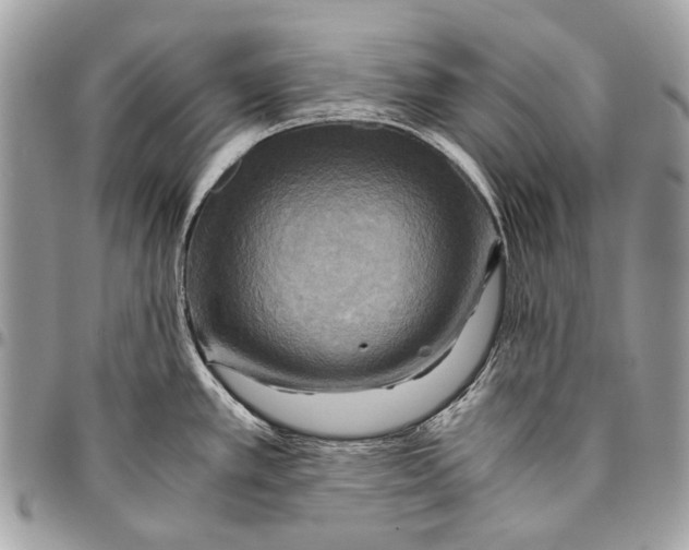 X0000096221389200802081515