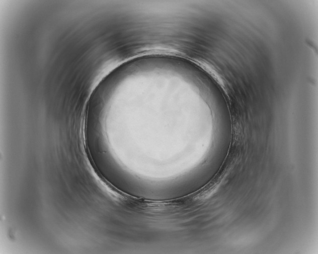 X0000096221391200802081515