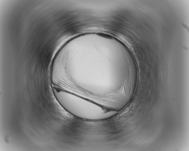 X0000096221392200802081515