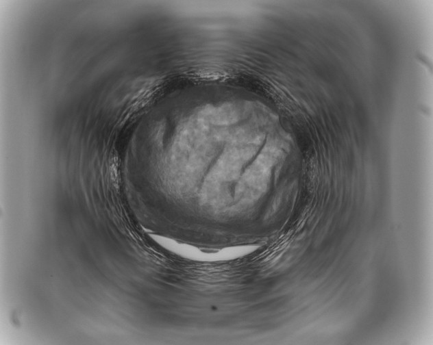 X0000096221394200802081515