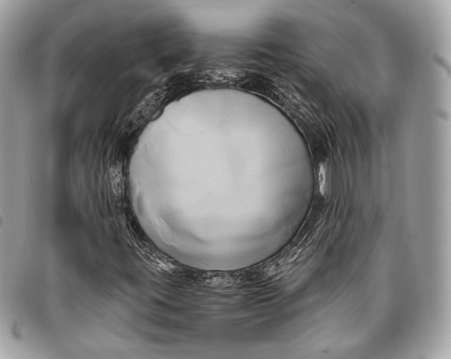 X0000096221395200802081515