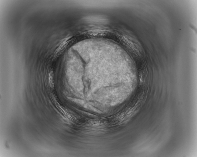 X0000096221396200802081515