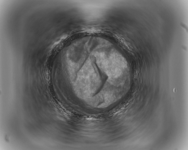 X0000096221398200802081515