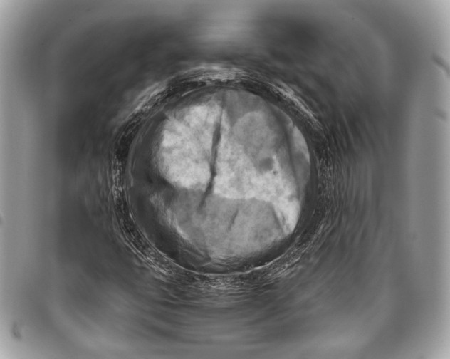 X0000096221399200802081515