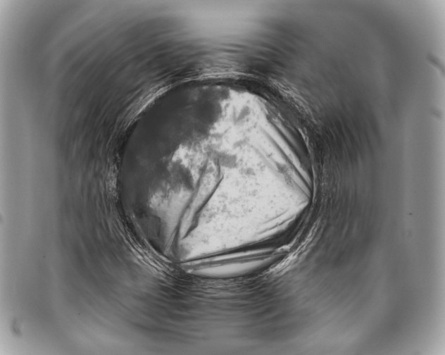 X0000096221401200802081515