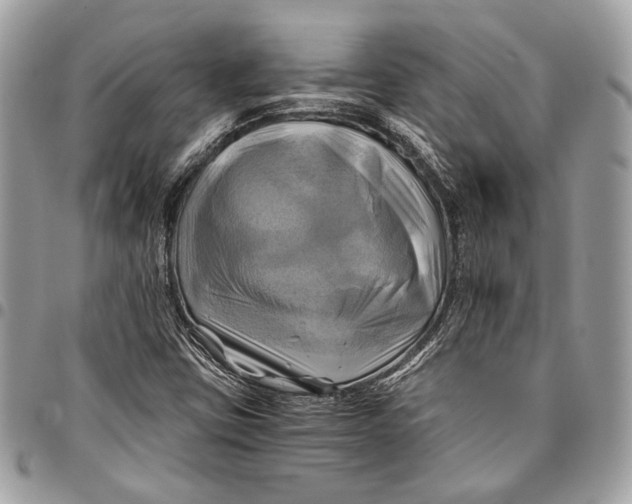 X0000096221403200802081515