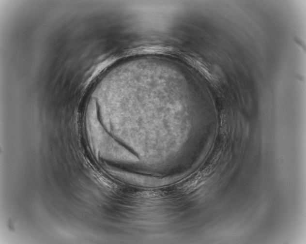 X0000096221404200802081515