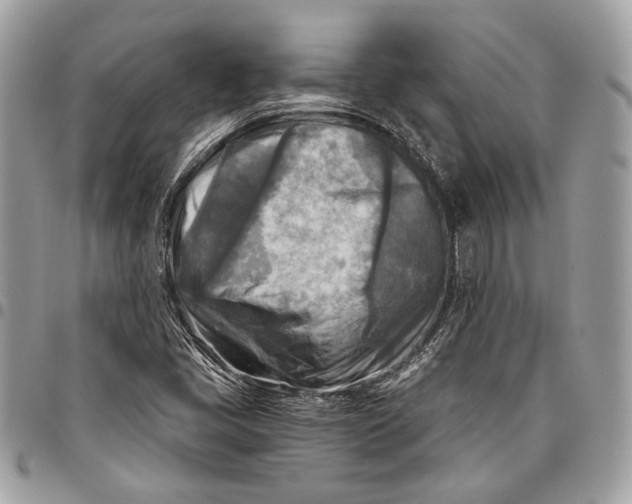 X0000096221405200802081515