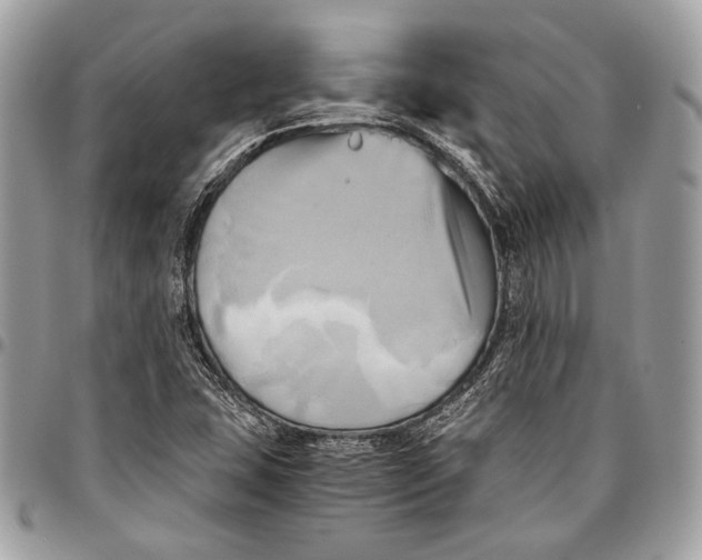 X0000096221407200802081515