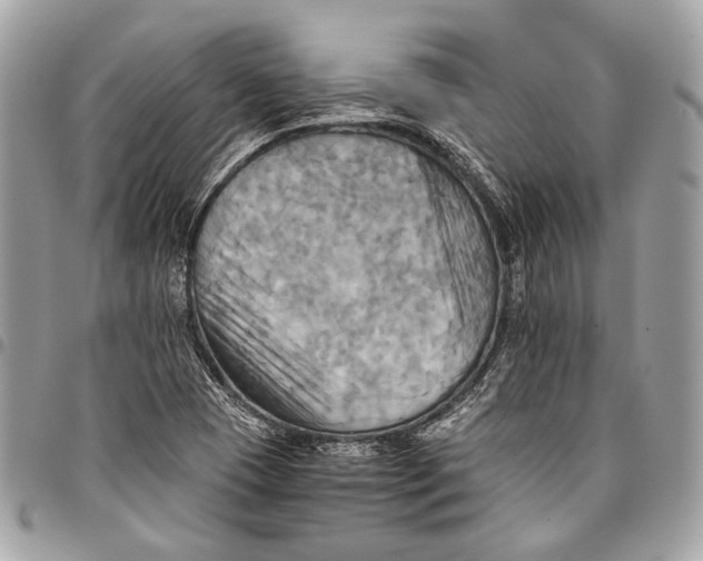 X0000096221409200802081515