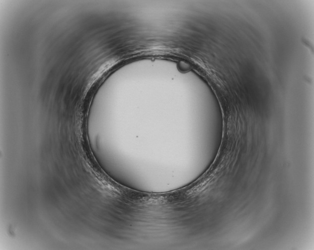 X0000096221410200802081515